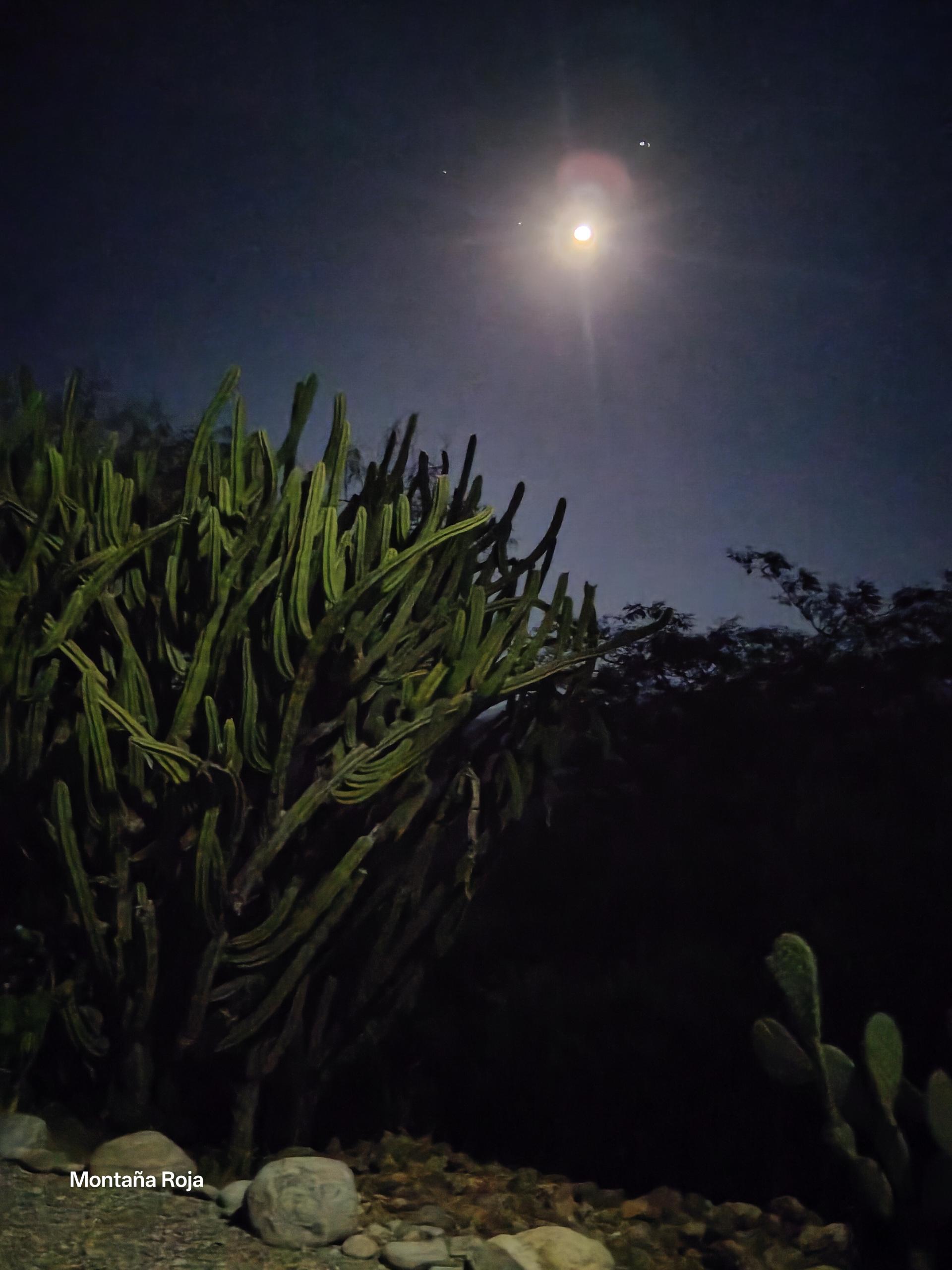 Noches estrelladas con fogata